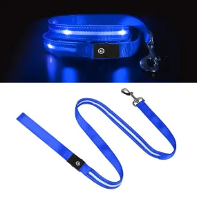 Ksproducers Dotted LED Flashing Dog Leash