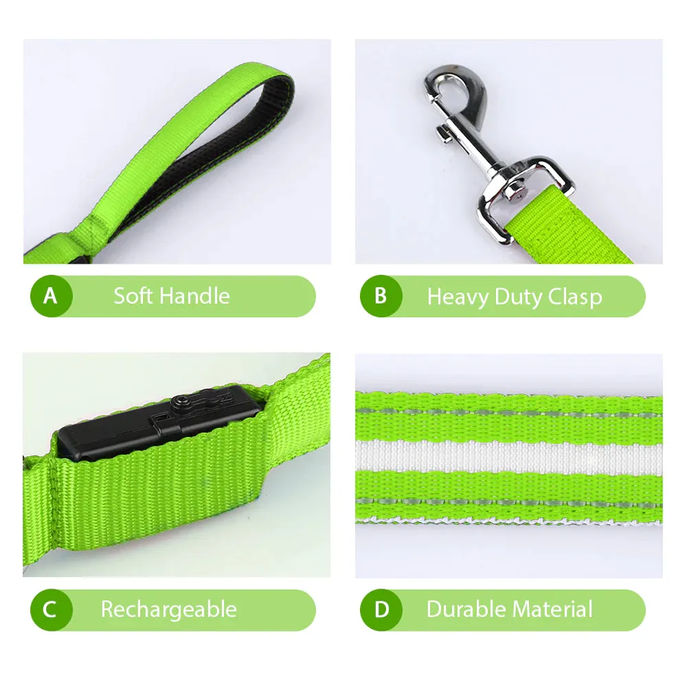 Ksproducers Dotted LED Flashing Dog Leash