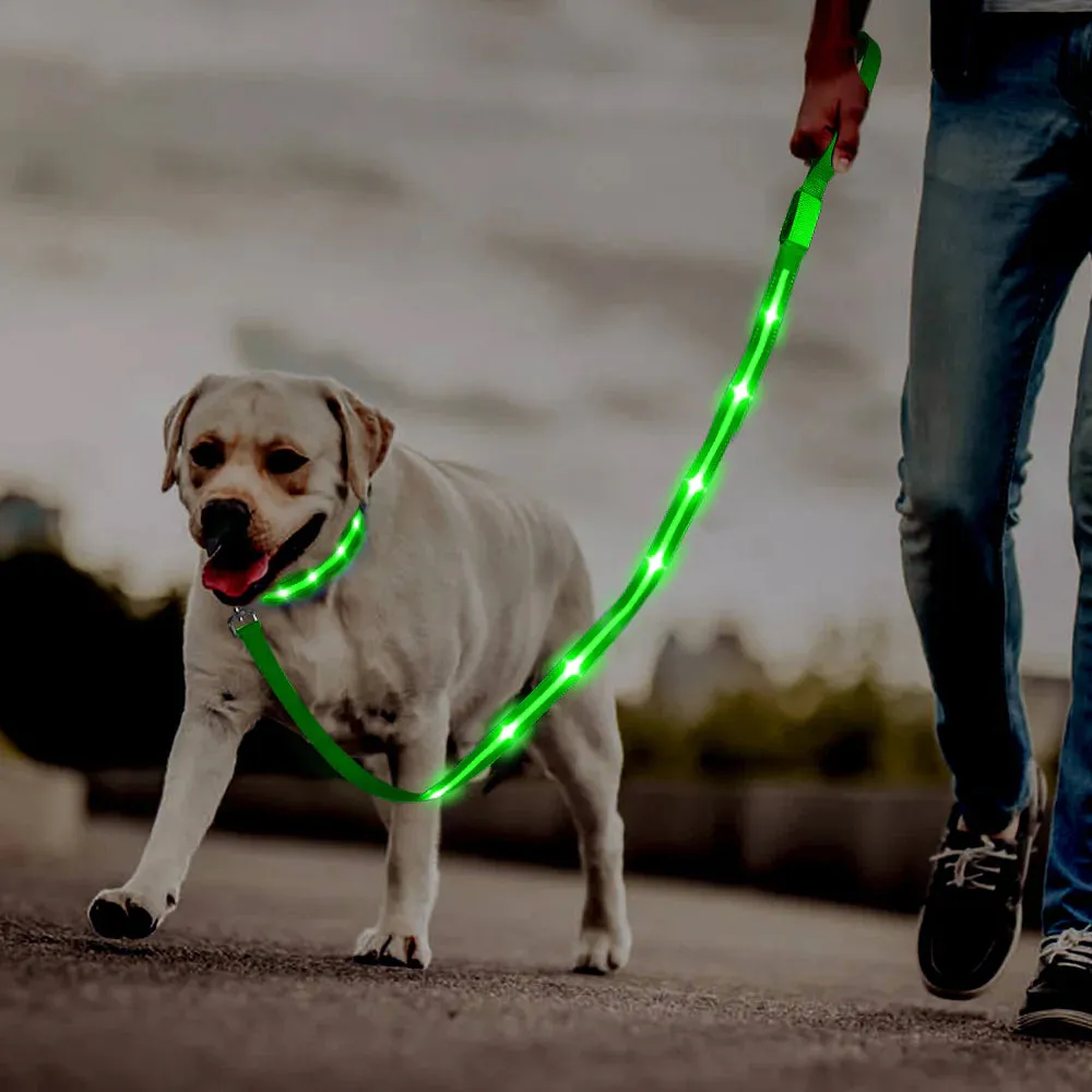 Ksproducers Dotted LED Flashing Dog Leash