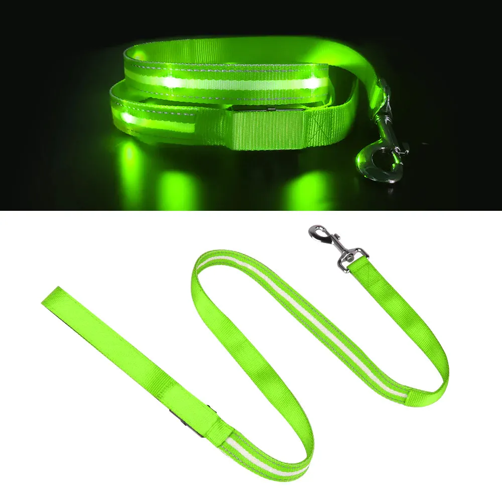Ksproducers Dotted LED Flashing Dog Leash