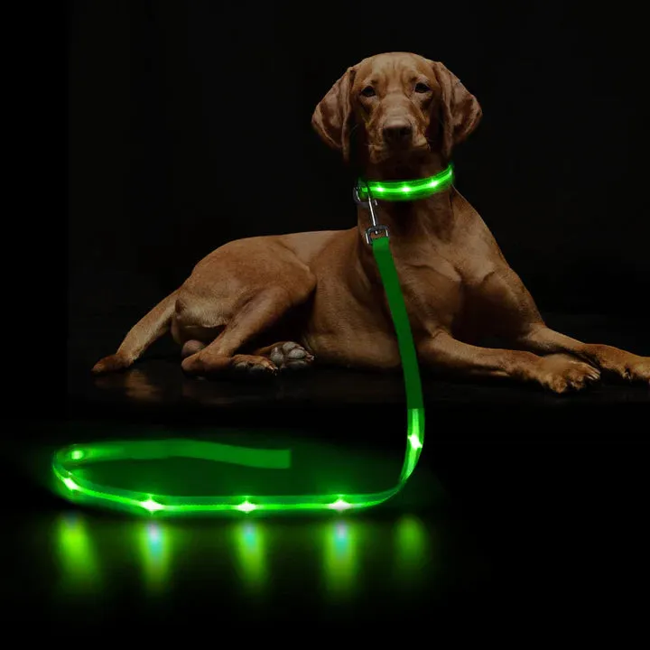 Ksproducers Dotted LED Flashing Dog Leash