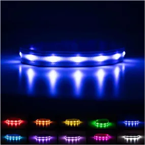 LED Dog Collar - Bright, USB Rechargeable & Waterproof with 1,000 Ft Visibility for Night Walks