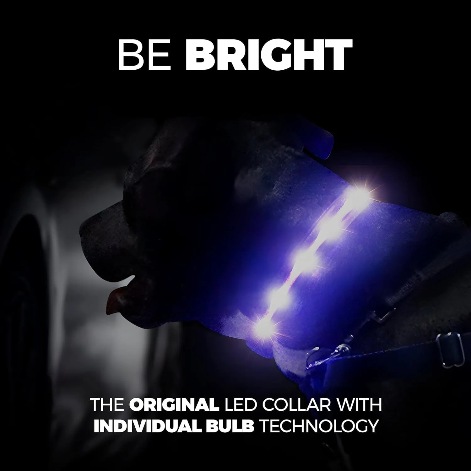 LED Dog Collar - Bright, USB Rechargeable & Waterproof with 1,000 Ft Visibility for Night Walks