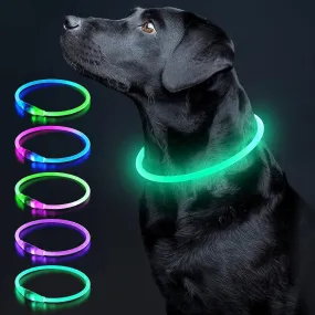 LED Dog Collar - Meet Night Navigator! 🐾✨