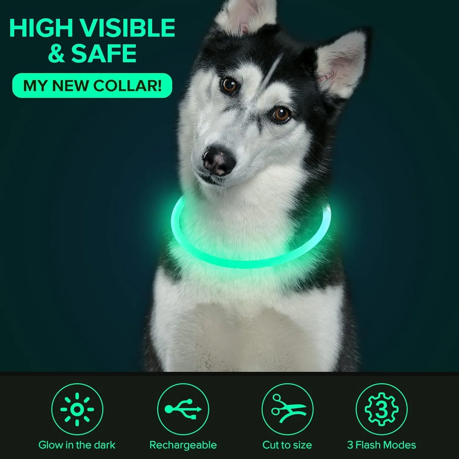 LED Dog Collar - Meet Night Navigator! 🐾✨
