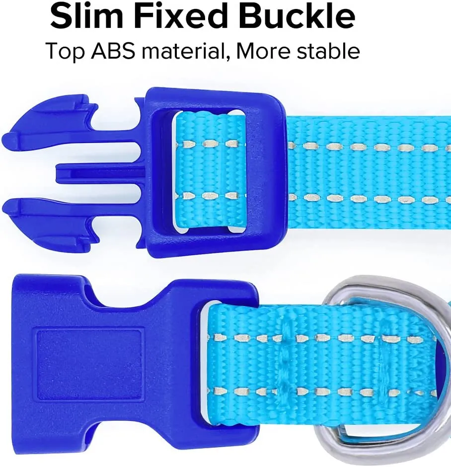 LED Dog Collar