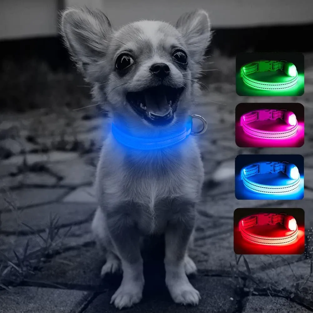 LED Dog Collar