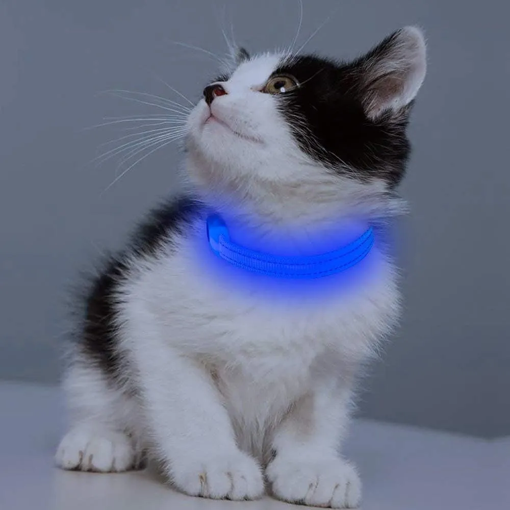 LED Dog Collar