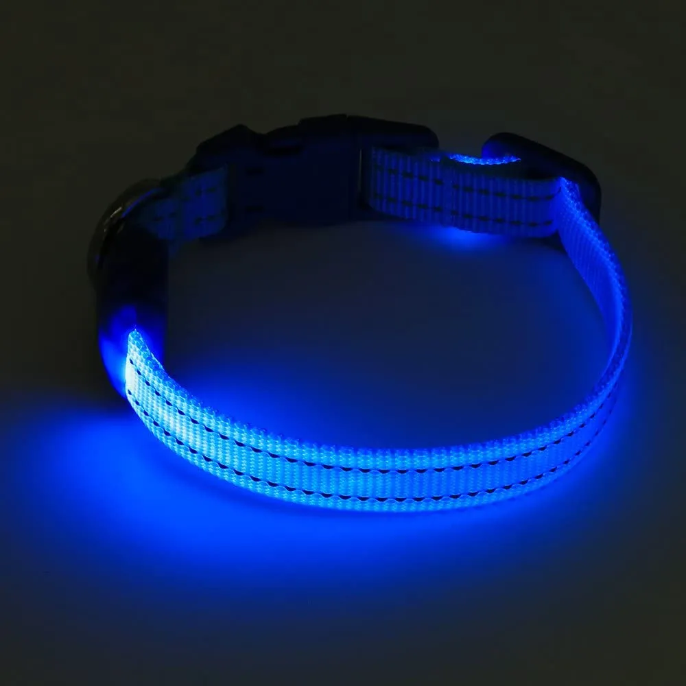LED Dog Collar