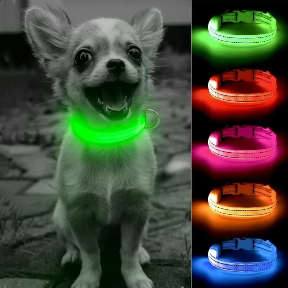 LED Dog Collar
