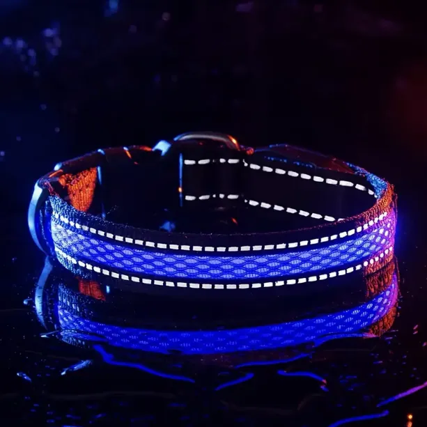 Led Dog Collar