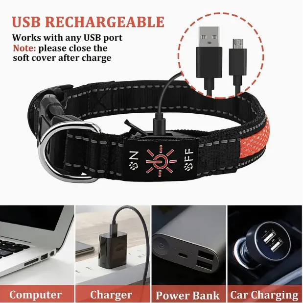 Led Dog Collar