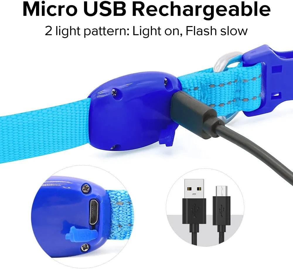LED Dog Collar