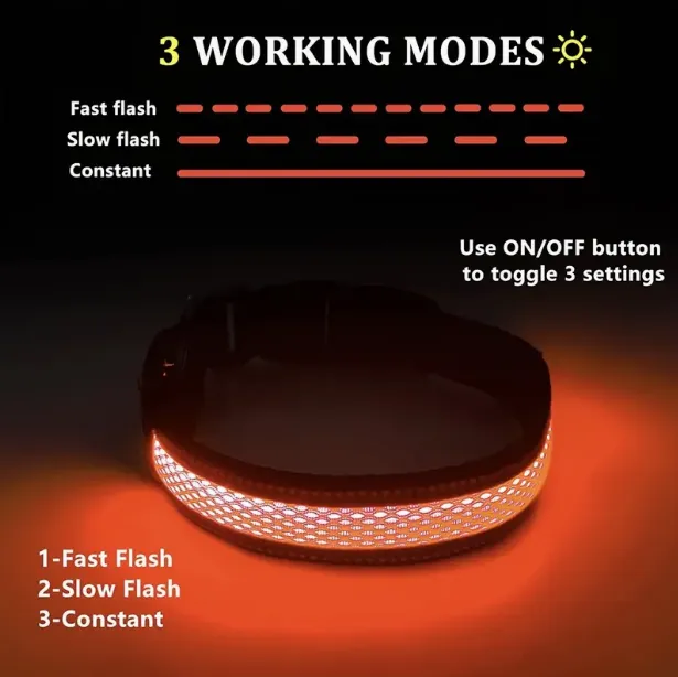 Led Dog Collar
