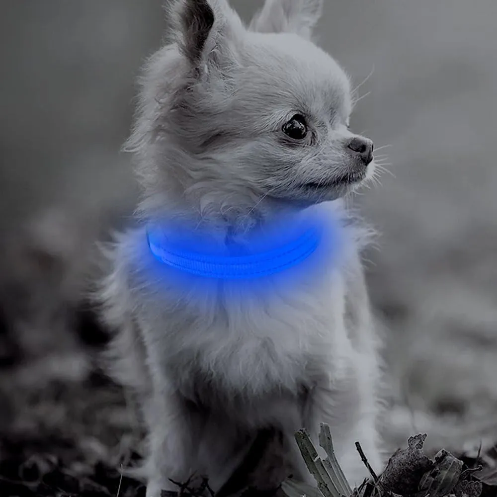 LED Dog Collar