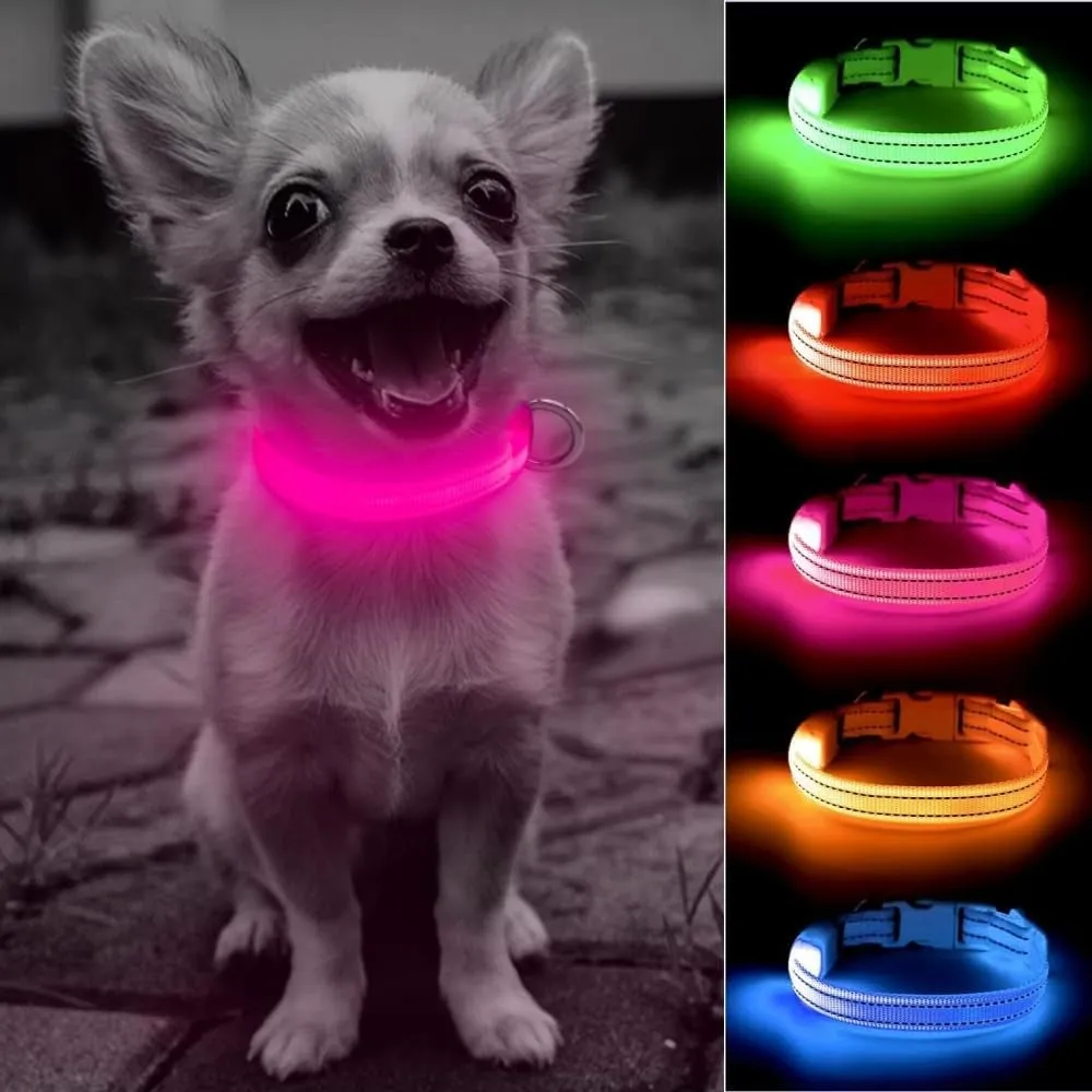 LED Dog Collar