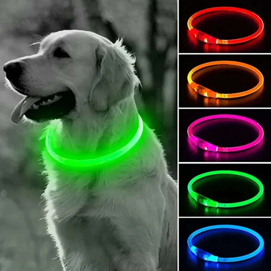 LED Glow Collar for Dogs – Adjustable and Rechargeable Night Safety