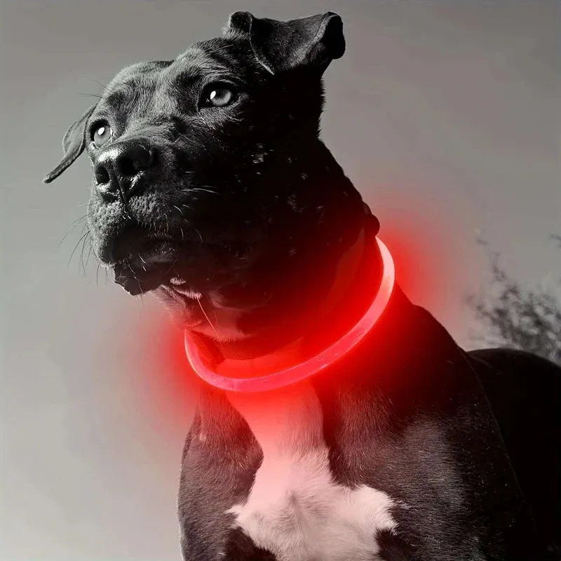 LED Light Dog Collar – Rechargeable & Adjustable for Safety