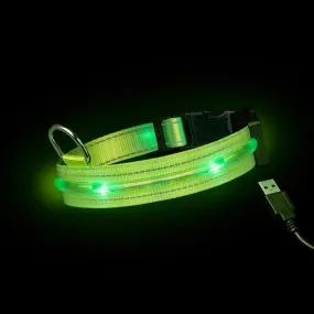 Loomo LED Dog Collar Green