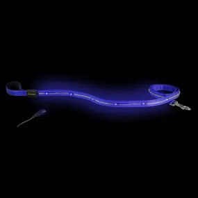 Loomo LED Dog Lead Blue