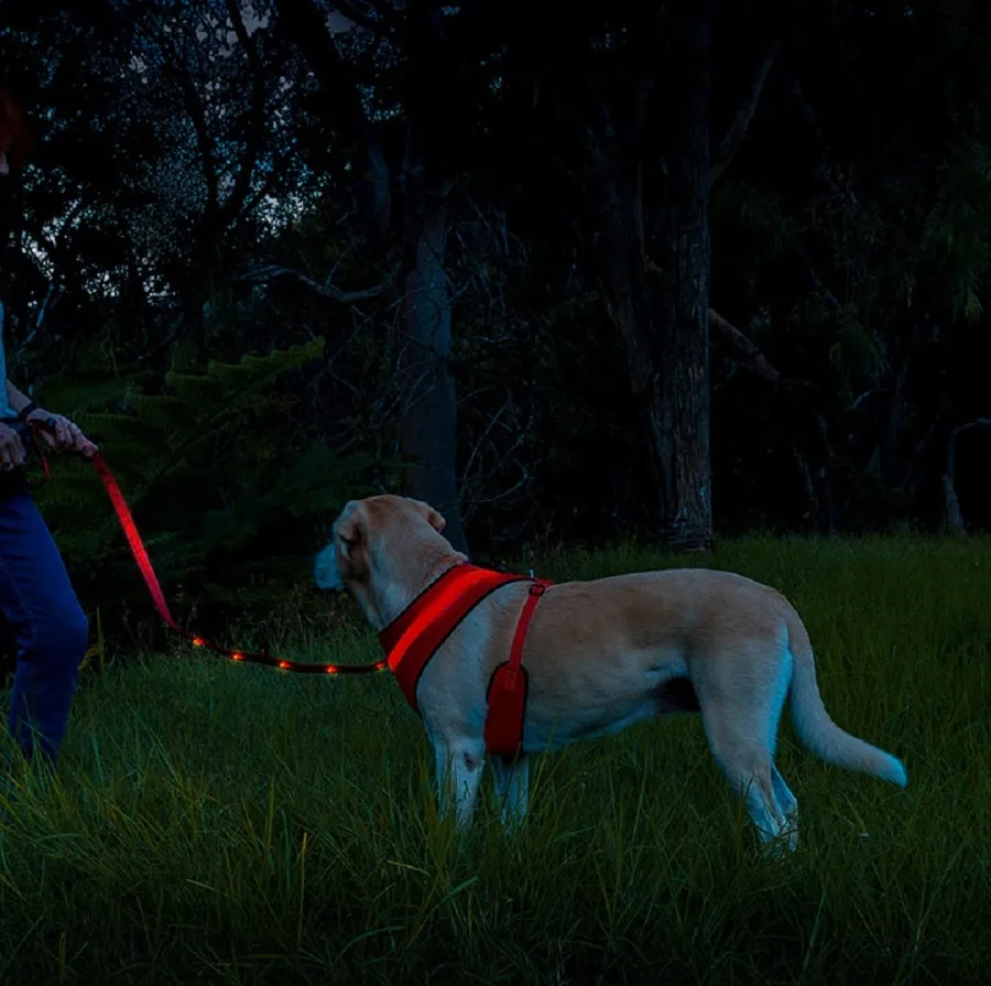 Loomo LED Dog Lead Red