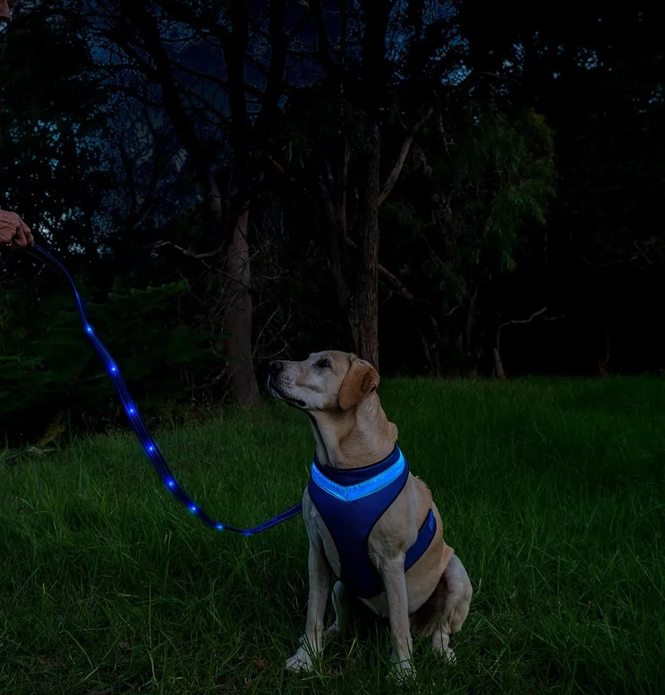 Loomo LED Mesh Harness Blue