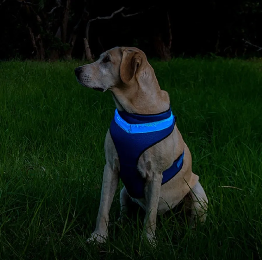 Loomo LED Mesh Harness Blue