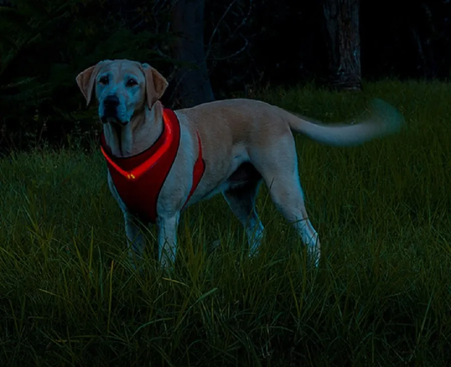 Loomo LED Mesh Harness Red