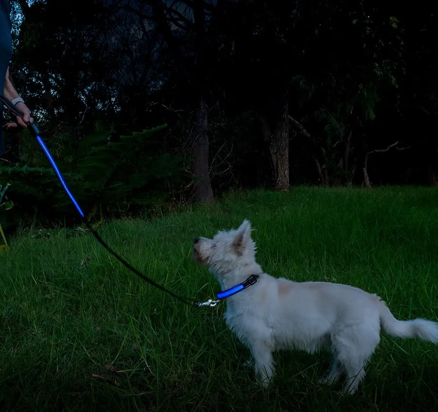 Loomo Moonshine LED Dog Collar Blue