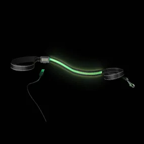 Loomo Moonshine LED Dog Lead Green