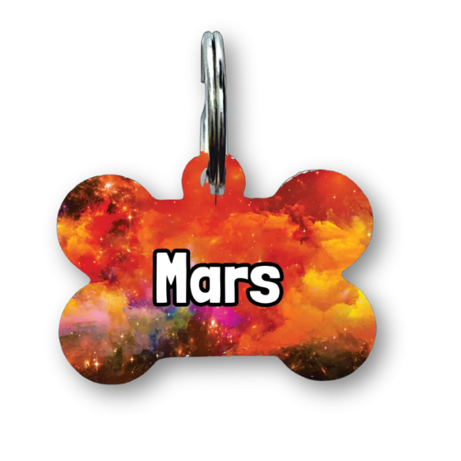 Lost in Space Bone Dog Tag