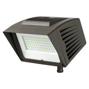LSI Industries Traditional Flood Medium TMFL