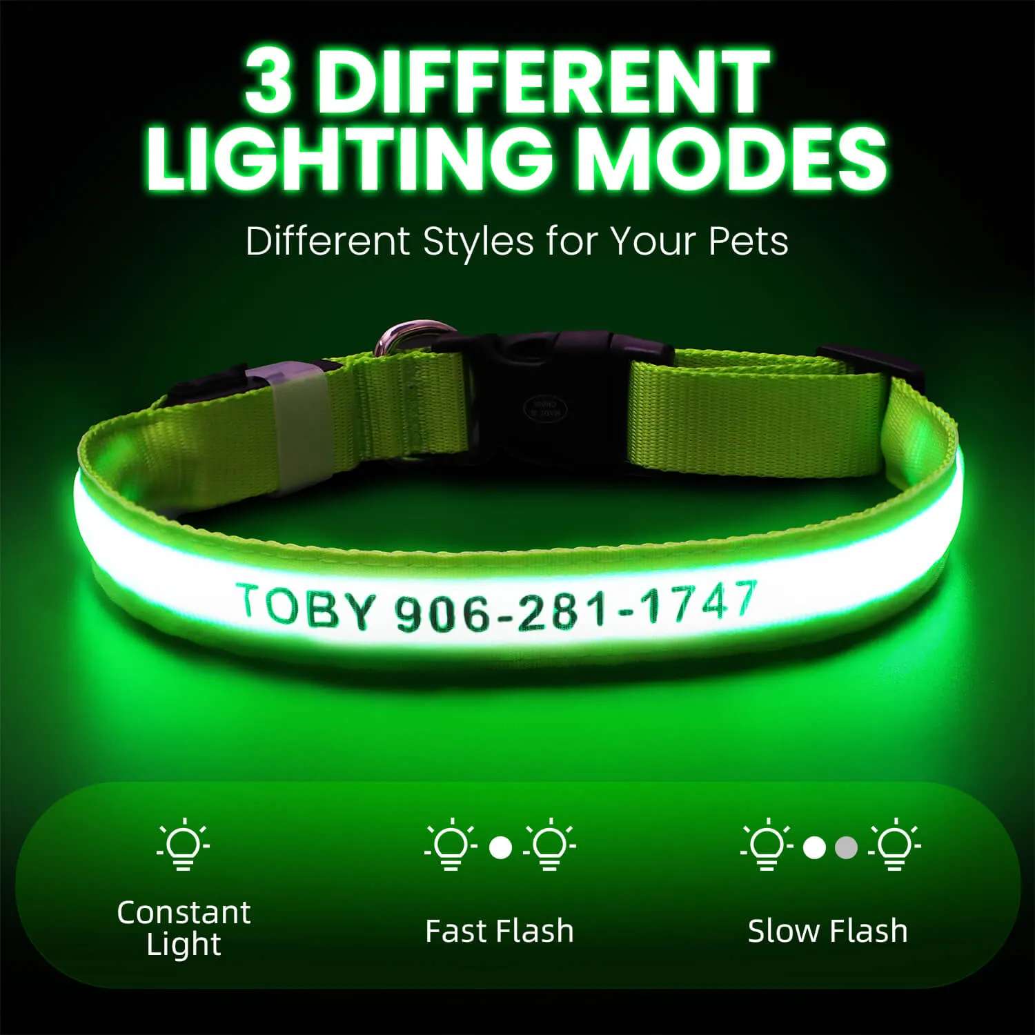 MASBRILL Custom LED dog collar with name