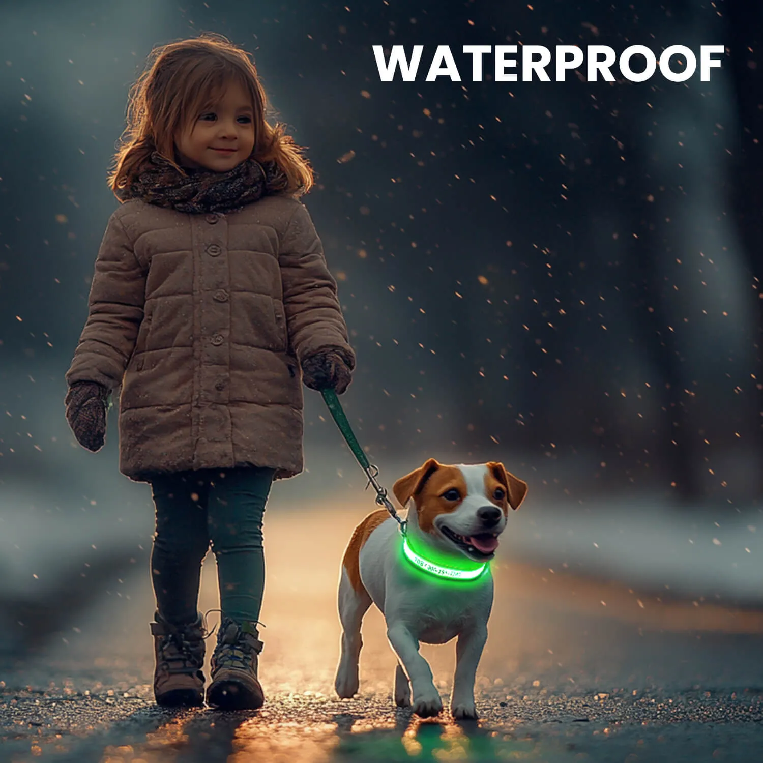 MASBRILL Custom LED dog collar with name