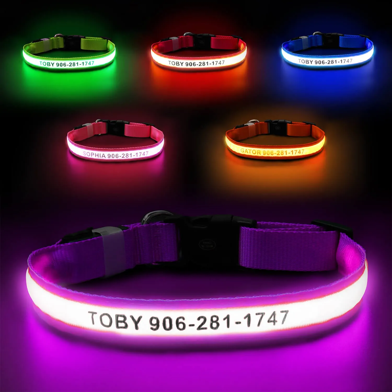 MASBRILL Custom LED dog collar with name
