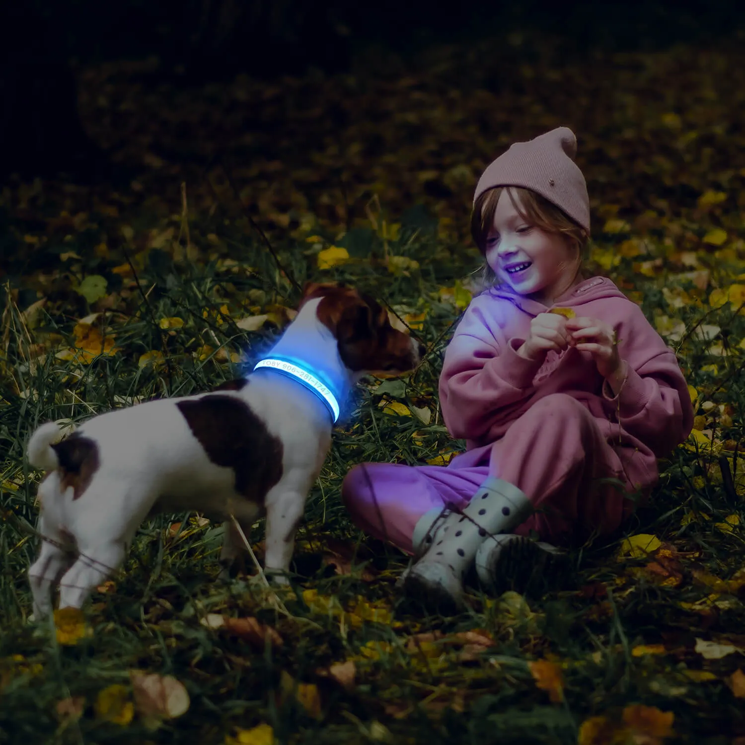 MASBRILL Custom LED dog collar with name