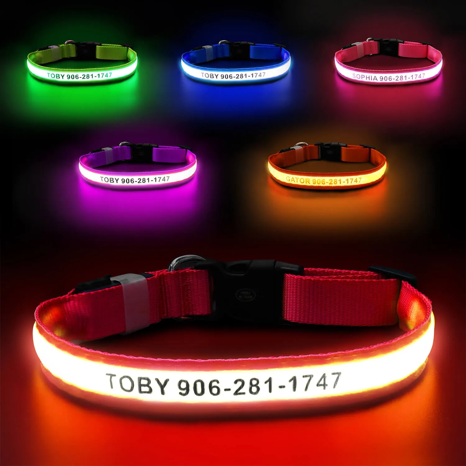 MASBRILL Custom LED dog collar with name