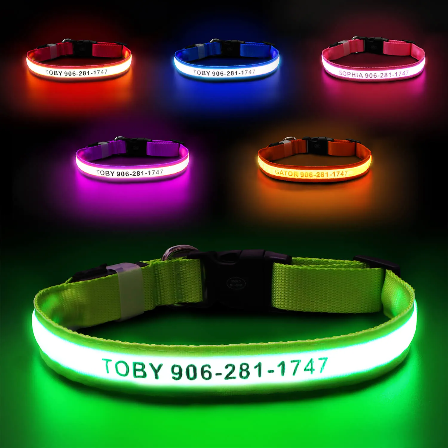 MASBRILL Custom LED dog collar with name