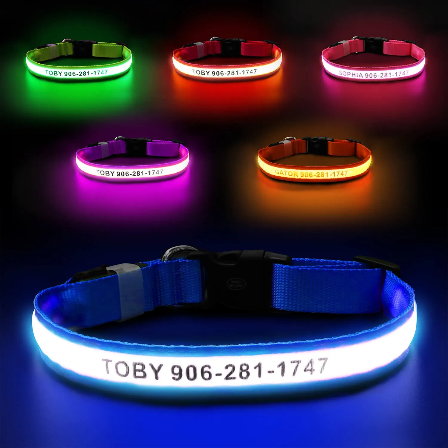MASBRILL Custom LED dog collar with name