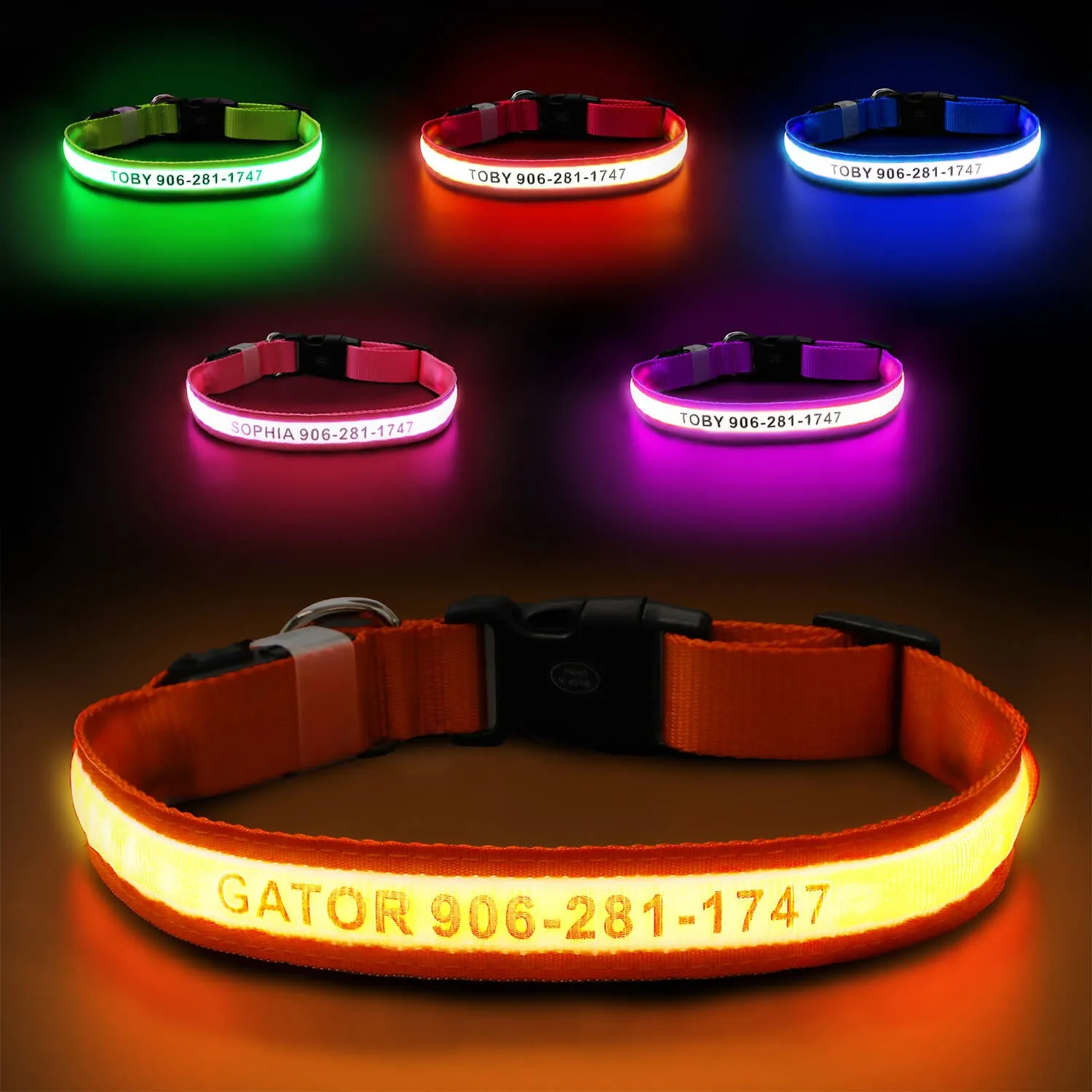 MASBRILL Custom LED dog collar with name