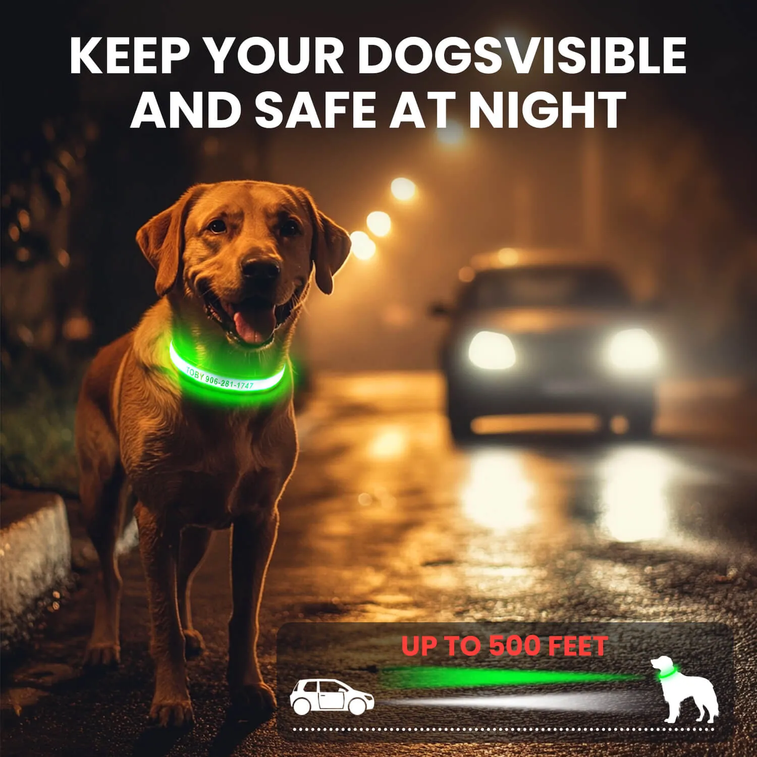 MASBRILL Custom LED dog collar with name