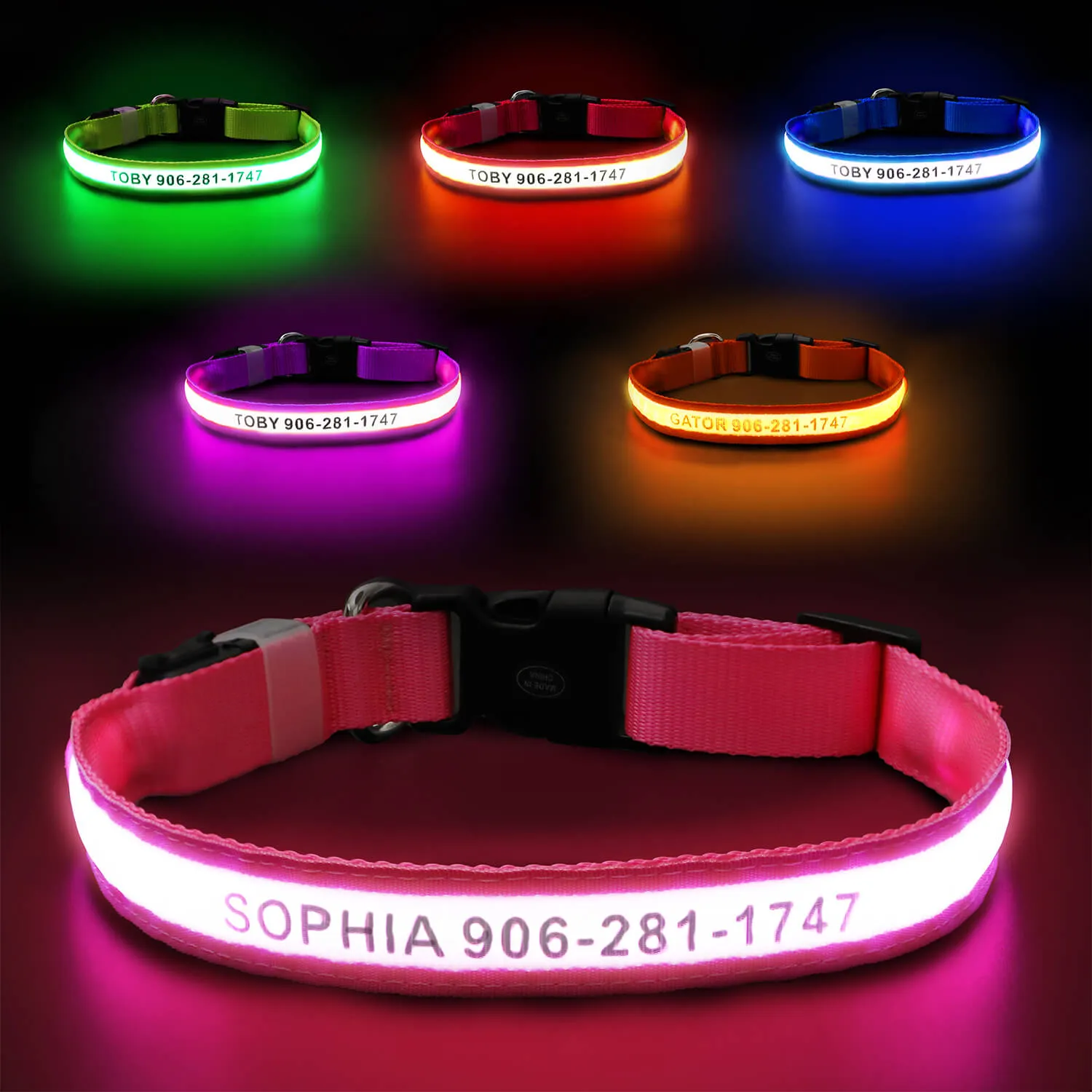 MASBRILL Custom LED dog collar with name