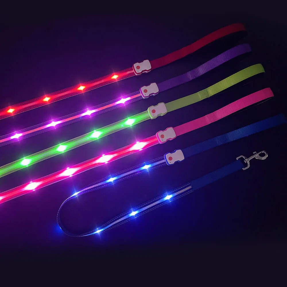 MASBRILL LED Dog Leash USB Rechargeable Pet Leash