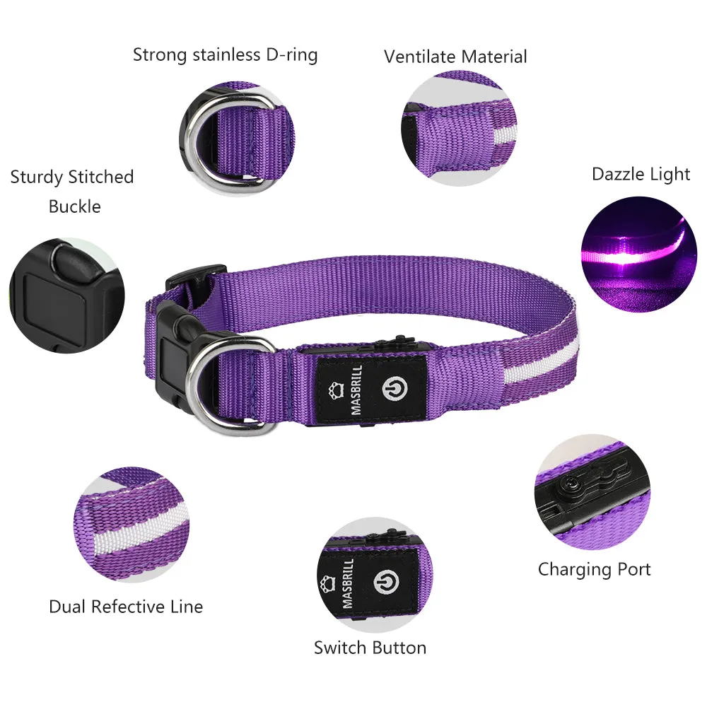 MASBRILL Light-up dog collar