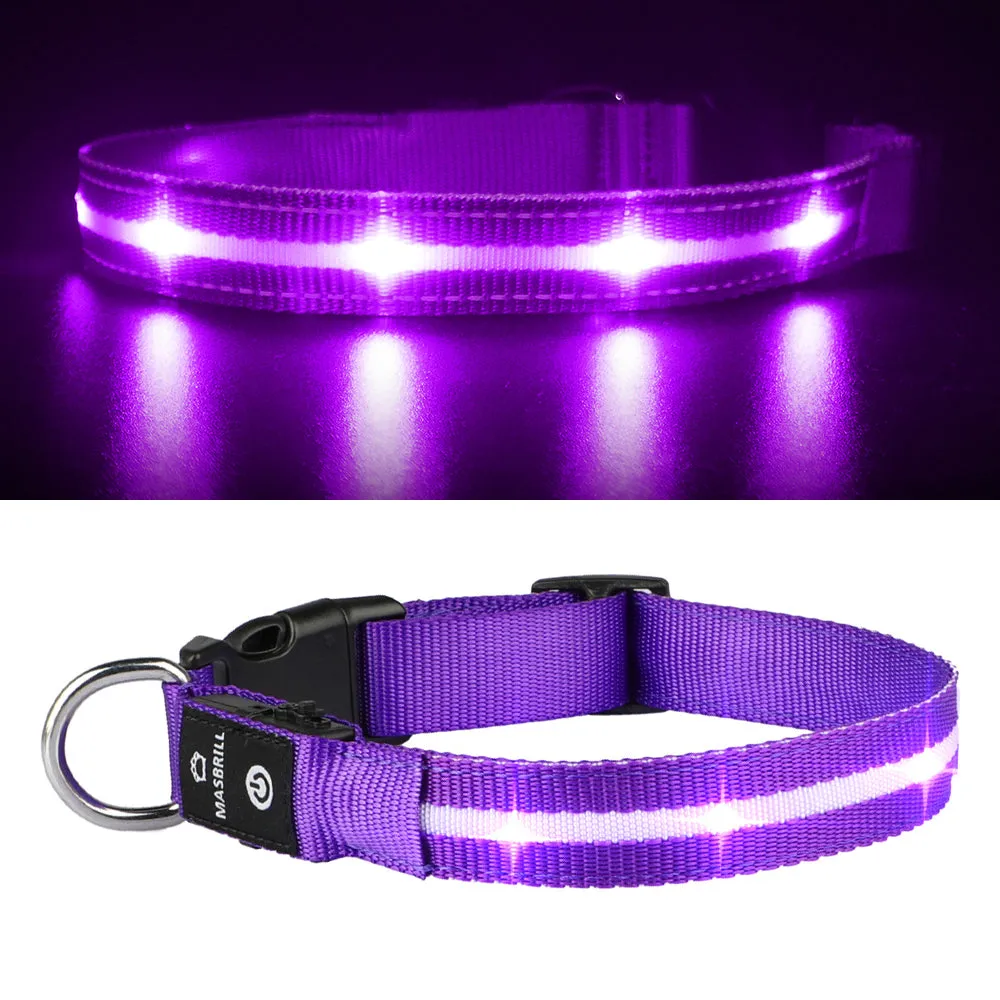 MASBRILL Light-up dog collar