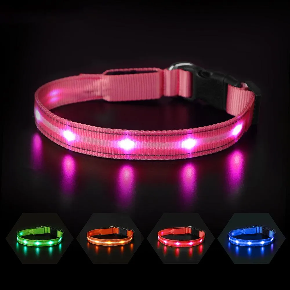 MASBRILL Light-up dog collar
