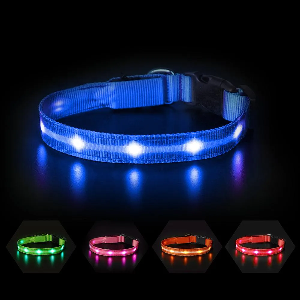 MASBRILL Light-up dog collar