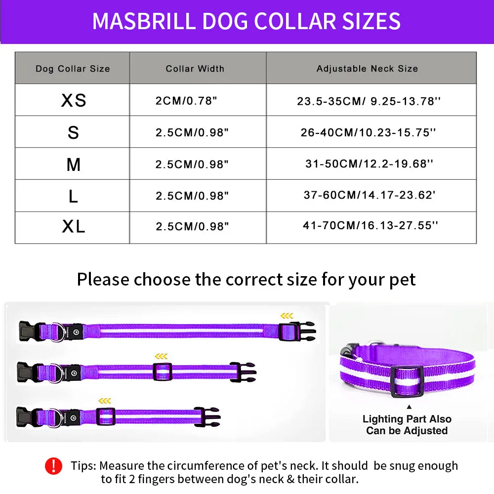 MASBRILL Light-up dog collar