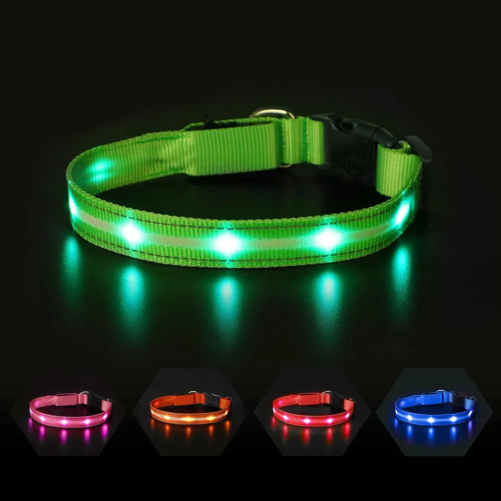 MASBRILL Light-up dog collar