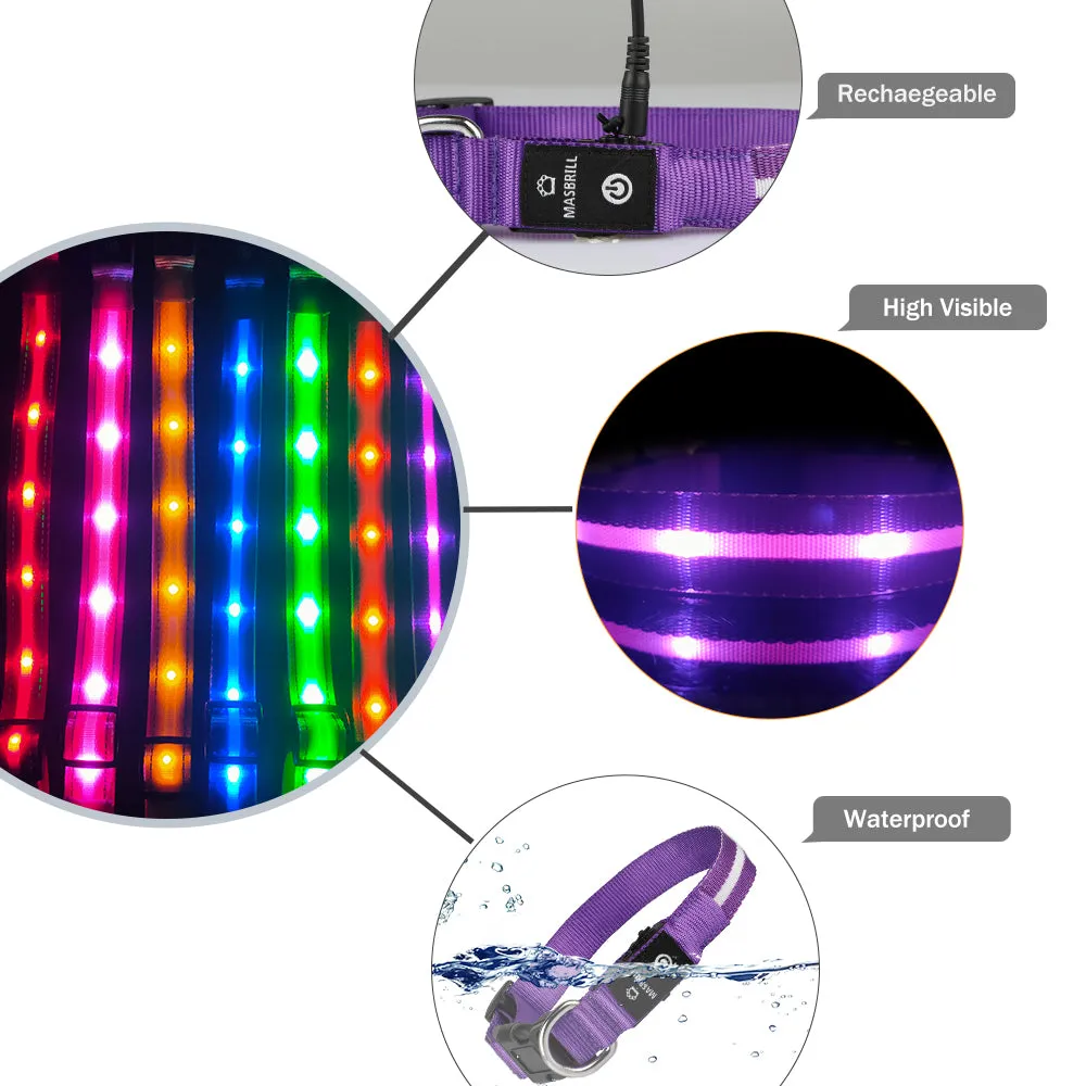 MASBRILL Light-up dog collar